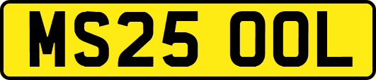 MS25OOL