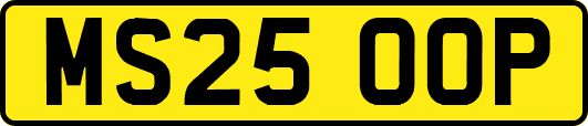 MS25OOP