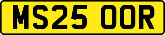 MS25OOR