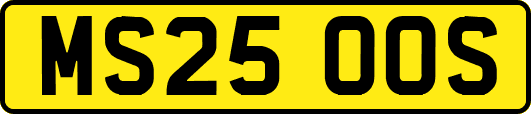MS25OOS