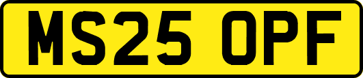 MS25OPF