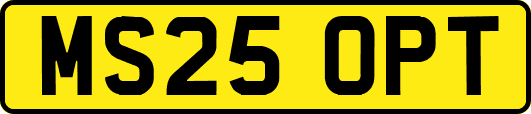 MS25OPT