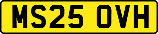 MS25OVH
