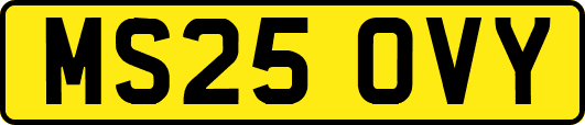 MS25OVY