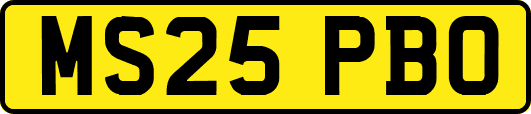 MS25PBO