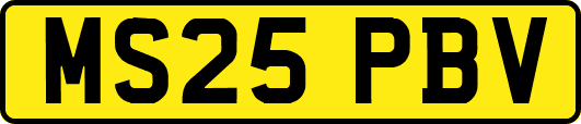 MS25PBV