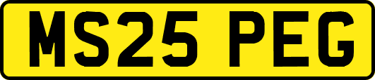 MS25PEG