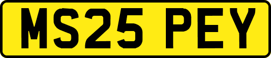 MS25PEY