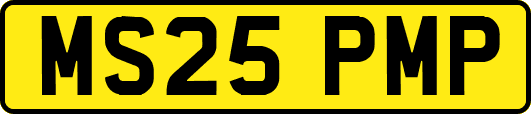 MS25PMP
