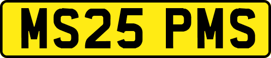 MS25PMS