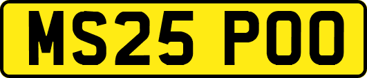 MS25POO