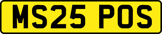 MS25POS