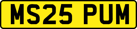 MS25PUM