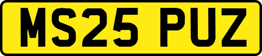 MS25PUZ