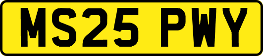 MS25PWY