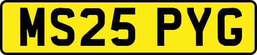 MS25PYG