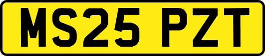 MS25PZT