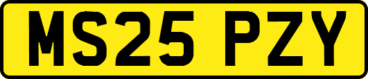 MS25PZY