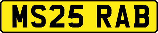 MS25RAB