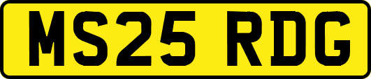 MS25RDG