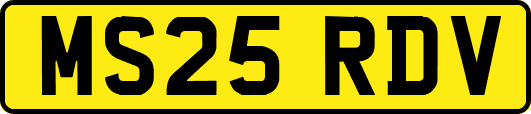 MS25RDV