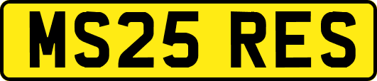 MS25RES