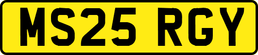 MS25RGY