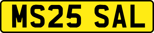 MS25SAL