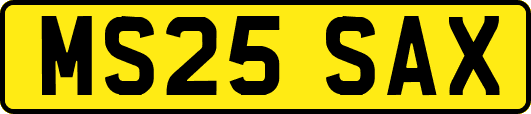 MS25SAX