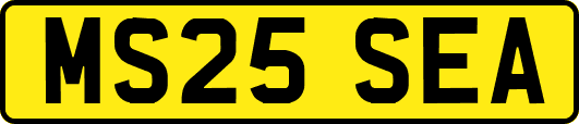MS25SEA