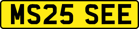 MS25SEE