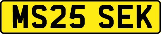 MS25SEK