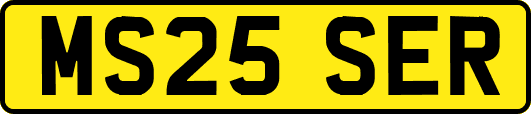 MS25SER