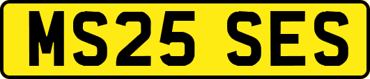 MS25SES