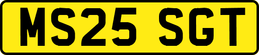 MS25SGT