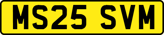 MS25SVM