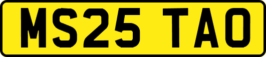 MS25TAO
