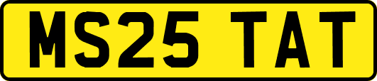 MS25TAT
