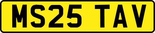 MS25TAV