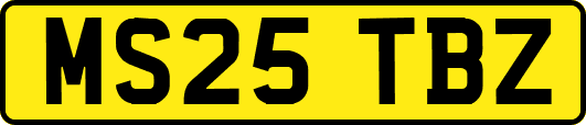 MS25TBZ