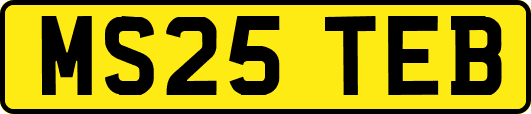 MS25TEB