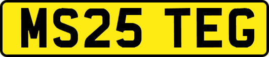 MS25TEG