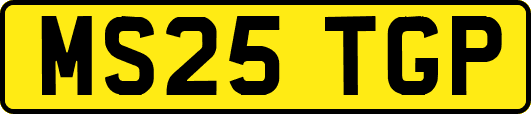 MS25TGP