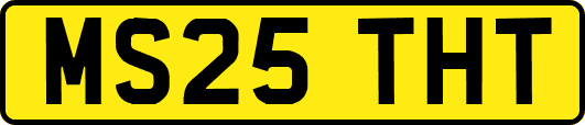 MS25THT
