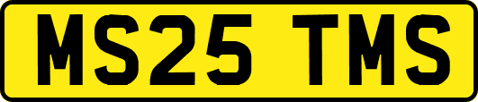 MS25TMS