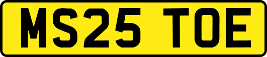 MS25TOE