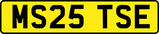 MS25TSE