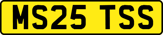 MS25TSS