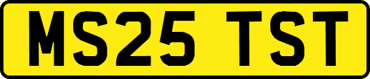 MS25TST