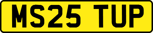 MS25TUP